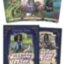 Карты Таро "Evereday Witch Oracle Cards" Llewellyn / Повседневный Оракул Ведьм