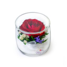Композиция из красной розы